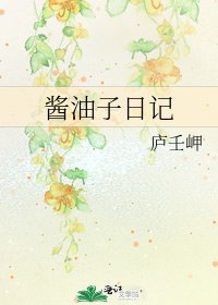 《酱油子日记》