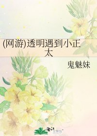 《(网游)透明遇到小正太》