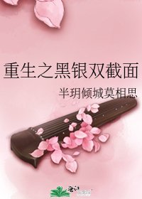 《重生之黑銀雙截面》