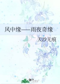 《风中缘——雨夜奇缘》