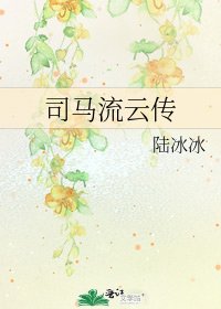 《司马流云传》