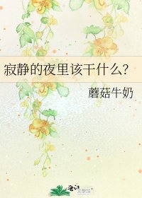 《寂静的夜里该干什么?》