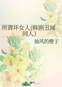 《所谓坏女人(韩剧丑闻同人)》