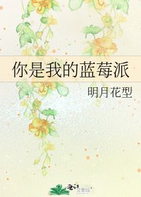 《你是我的藍莓派》