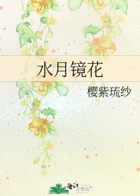 《水月镜花》