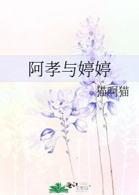 《阿孝与婷婷》