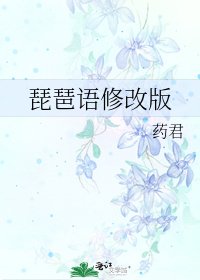 《琵琶语修改版》