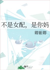 《不是女配,是你妈》