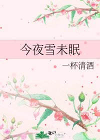 《今夜雪未眠》