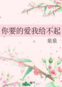 《你要的爱我给不起》
