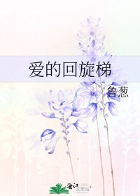 《爱的回旋梯》