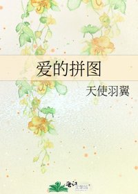 《爱的拼图》