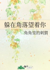 《躲在角落望着你》