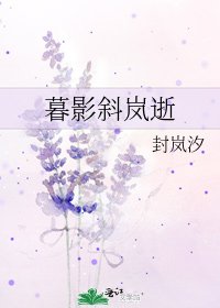 《暮影斜嵐逝》
