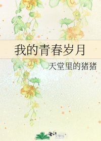 《我的青春岁月》