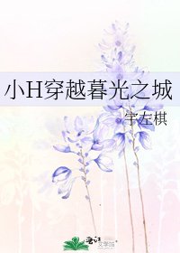 《小H穿越暮光之城》