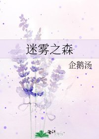 《迷雾之森》