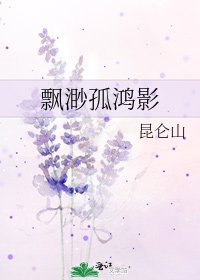 《飘渺孤鸿影》