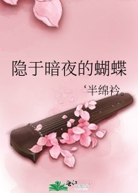 《隐于暗夜的蝴蝶》