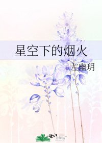 《星空下的烟火》