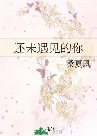 《还未遇见的你》
