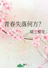 《青春失落何方?》