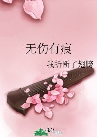 《无伤有痕》