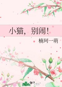 《小猫,别闹!》