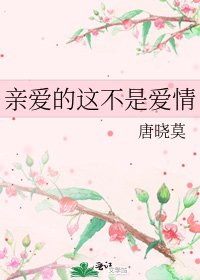 《亲爱的这不是爱情》