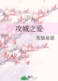 《攻城之爱》