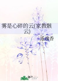 《霧是心碎的雲(家教骸雲)》