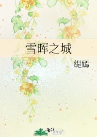 《雪晖之城》