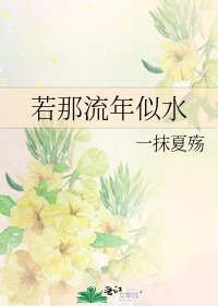 《若那流年似水》