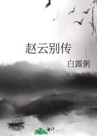 《赵云别传》