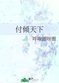 《付倾天下》