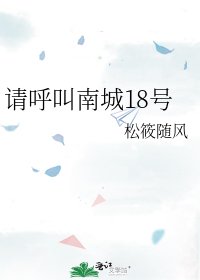 《请呼叫南城18号》