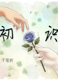 初识