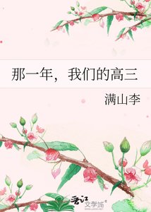 《那一年,我们的高三》