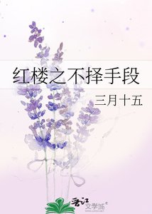 《红楼之不择手段》