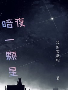 《暗夜一颗星》