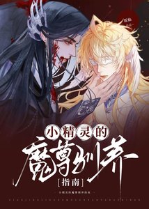 《小精灵的魔尊驯养指南》