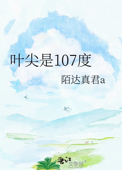 《叶尖是107度》