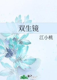 《双生镜》