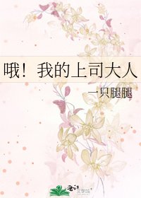 《哦!我的上司大人》