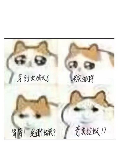 《穿到虫族文,但是奇美拉蚁版》