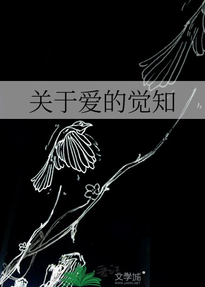 《关于爱的觉知》