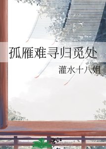 《孤雁难寻归觅处》