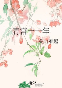 《青宫十一年》