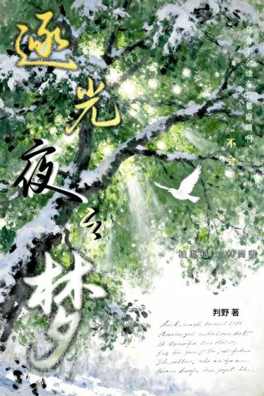 《逐光夜之梦》
