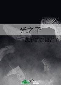 《光之子》